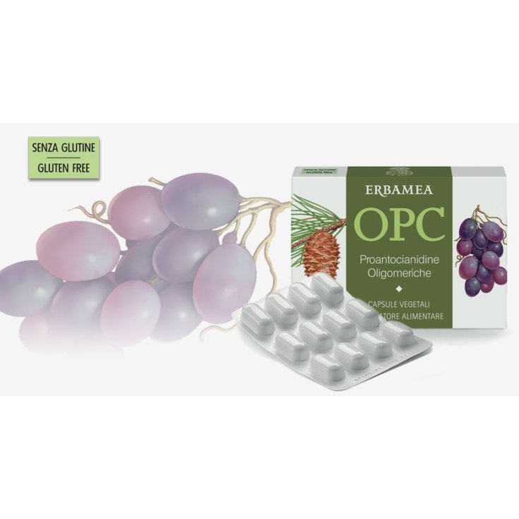 Erbamea Opc Integratore Alimentare Senza Glutine 24 Capsule