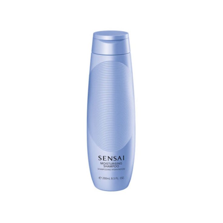 Kanebo Haircare Moisturising Shampoo 250ml