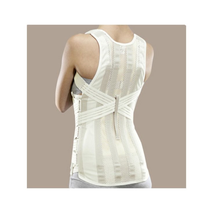Ro+ten Sat36 Busto Spallaccio Semirigido Con Tiranti In Elastico Donna PR1-1636H Colore Crema Taglia M