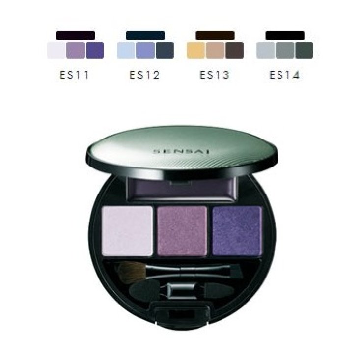 Kanebo Eye Shadow Pallete Ombretti Es11 4,5g