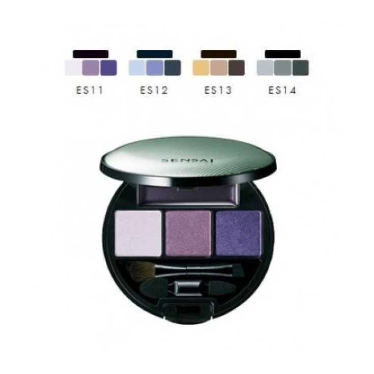 Kanebo Eye Shadow Palette Es14