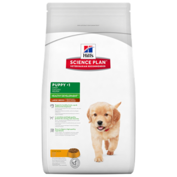 Hill's Science Plan Canine Puppy Healthy Development Taglia Grande Con Pollo 11kg