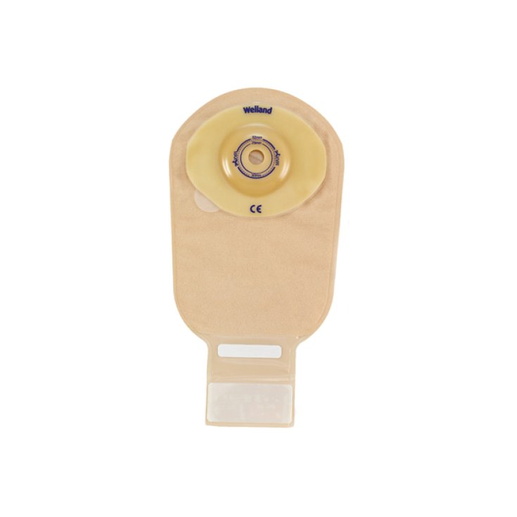 Flair Active Curvex I13/43mm Trasparente 10 Pezzi