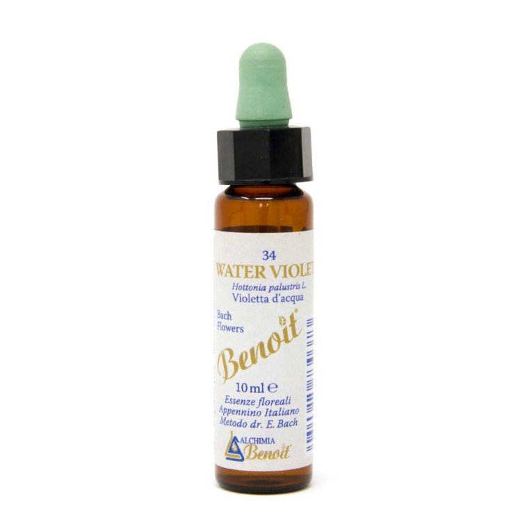 Alchimia Benoit Fiori Di Bach Water Violet 10ml