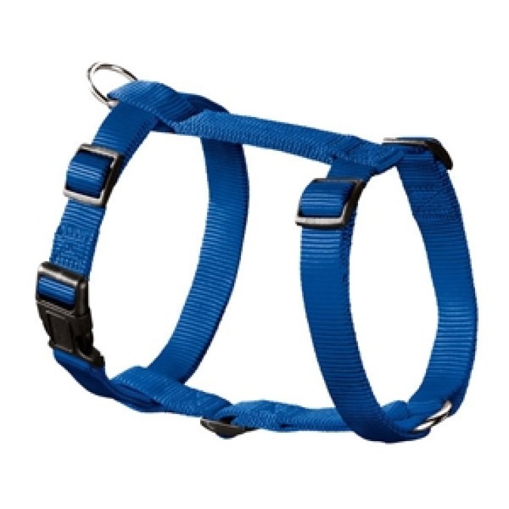 Hunter International GMBH Harness Ecco Sport Rapid Pettorina Cane Misura L Colore Blu