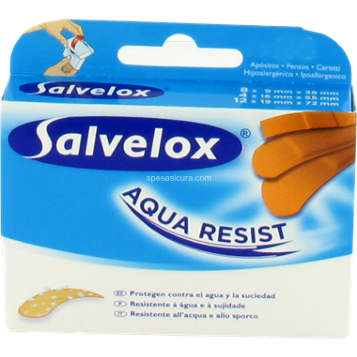 Salvelox Plastica Assortiti 25