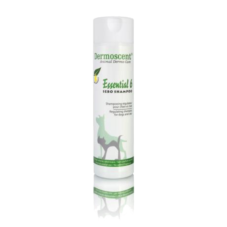 Essential 6 Sebo Shampoo per Cani e Gatti - 200ML