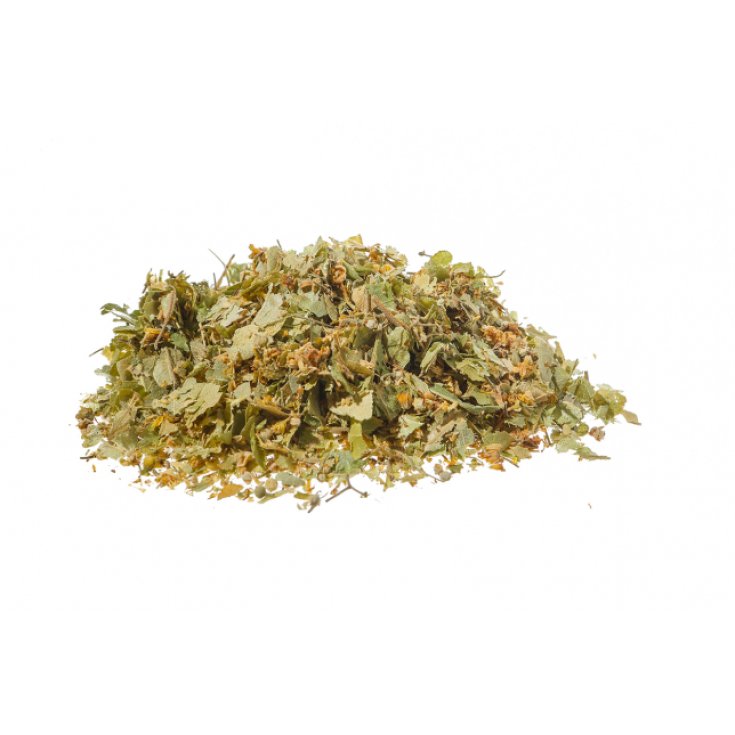 Biokyma Tiglio Fiori E Brattee 1kg