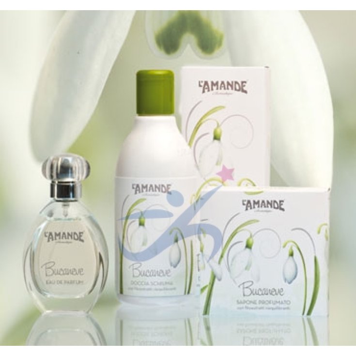 L'amande Bucaneve Doccia Schiuma 250ml
