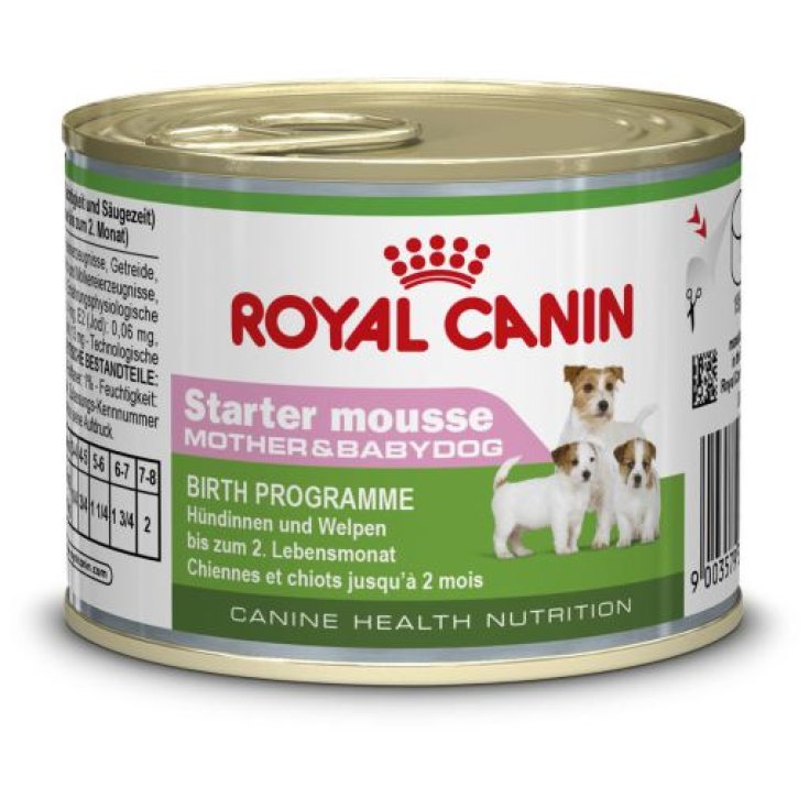 Starter Mousse - 195GR