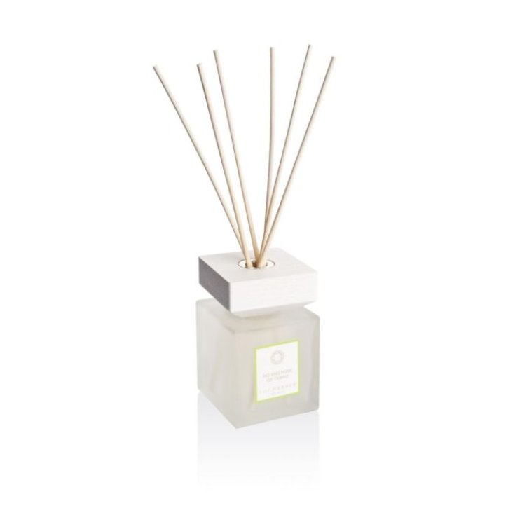 Cosval Group Fig And Rose Of Tabriz Diffusore In  Legno 100ml