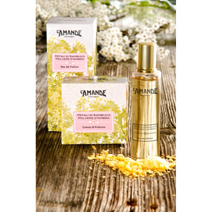 L'Amande Petali Di Sambuco Polvere D'Ambra Crema Corpo 300ml