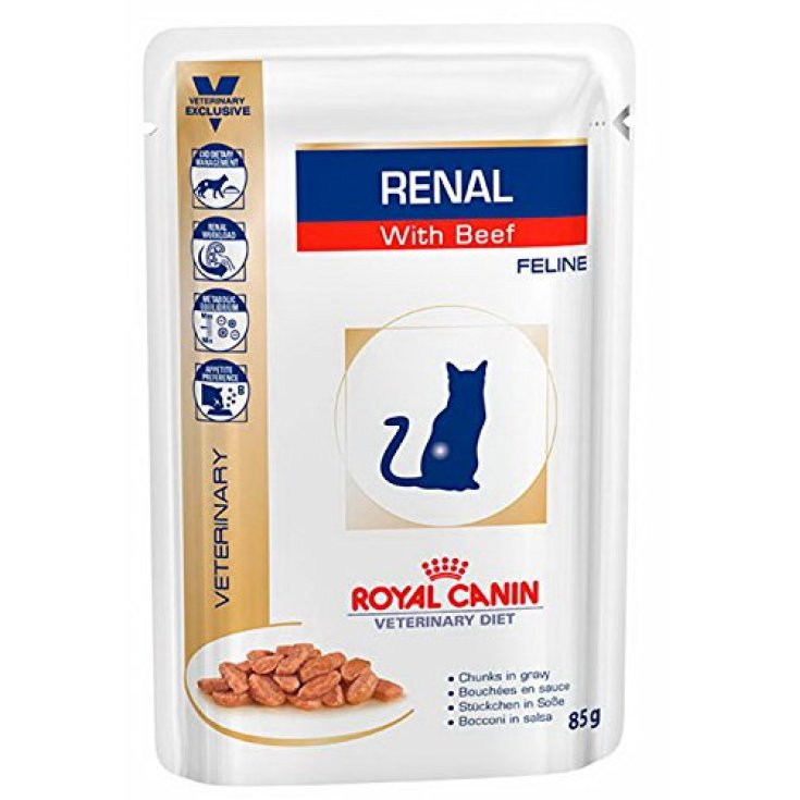 Veterinary Diet Renal con Manzo - 12X85GR