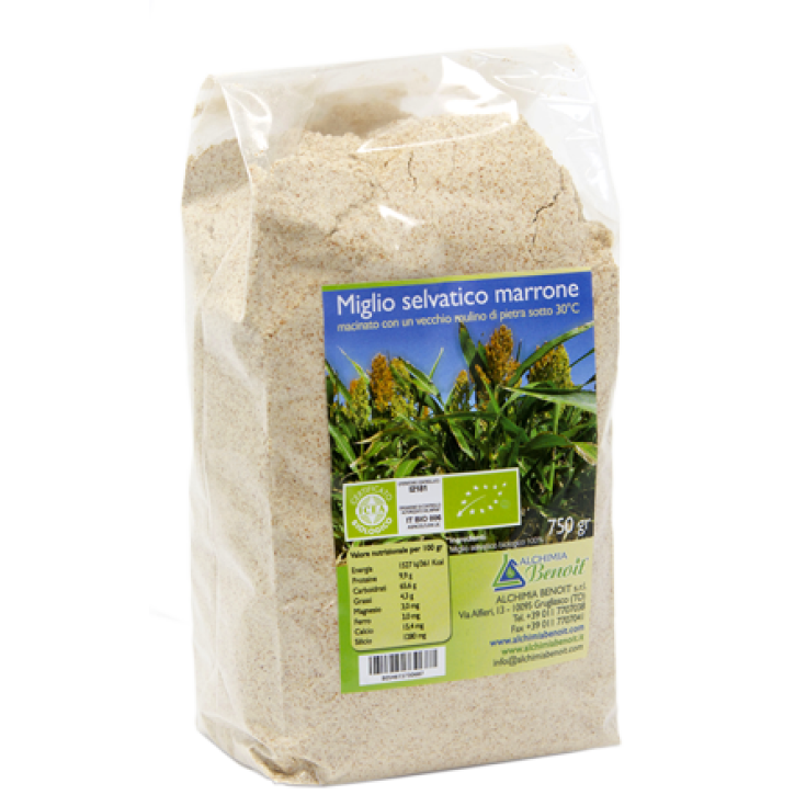 Benoit Miglio Selvatico Marrone Biologico 750g
