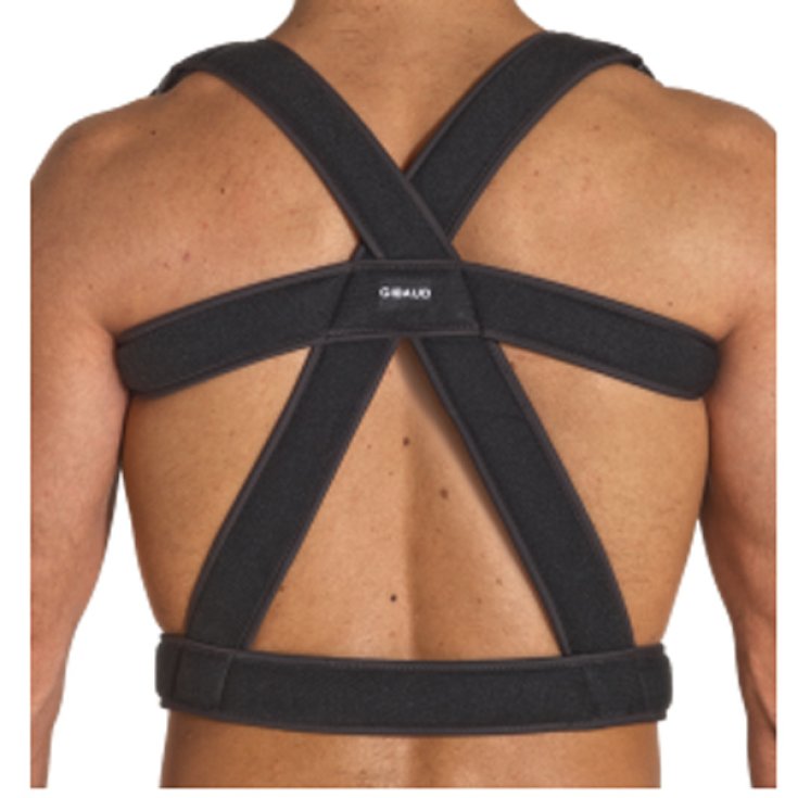 Gibaud Linea Ortopedica Sostegno Dorso Taglia 2
