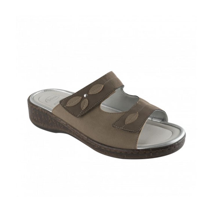 Scholl Rosca Ciabatta Donna Colore Marrone Misura 40