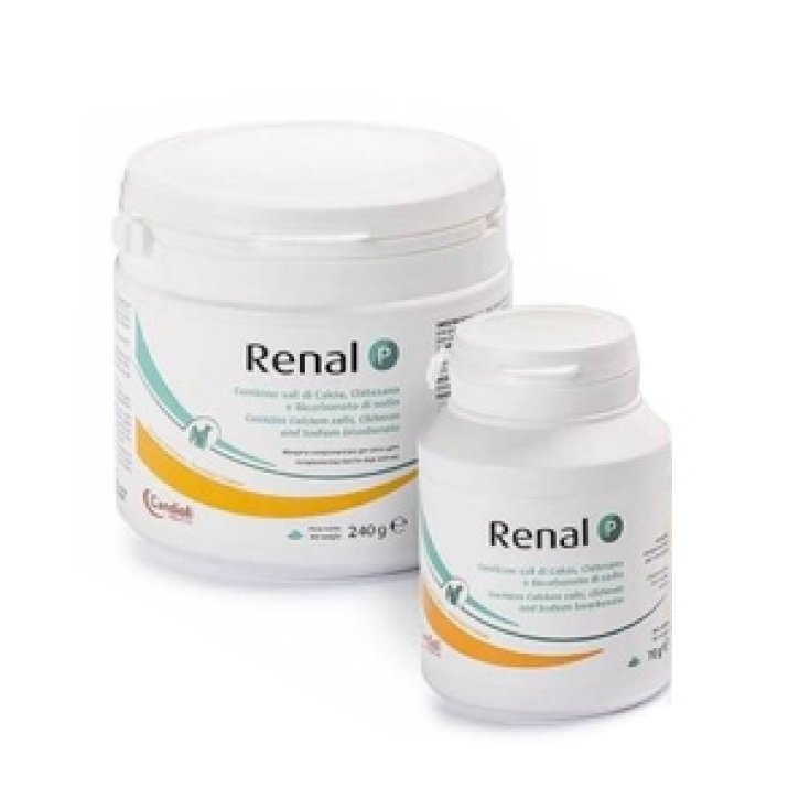Renal P - 70GR