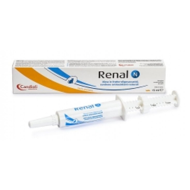 Renal N Pasta - 15ML