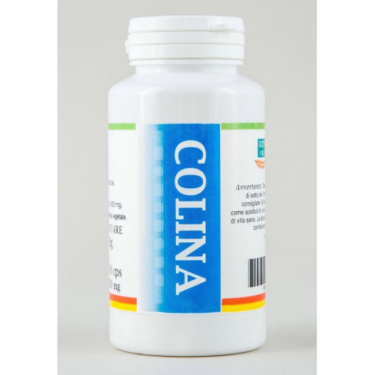 Isanibio Colina Integratore Alimentare 100 Capsule Isanibio Colina Integratore Alimentare 100 Capsule