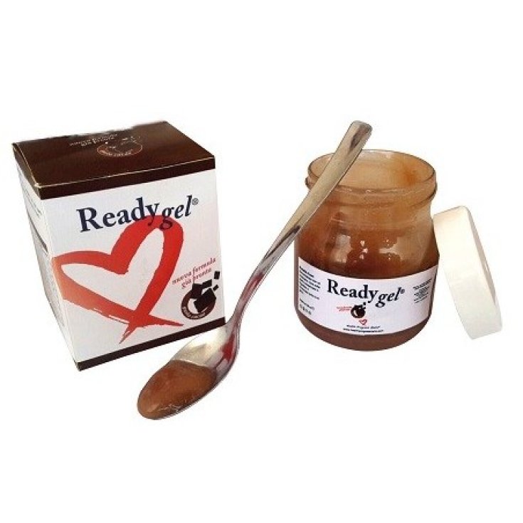 Ready Gel Gusto Cacao Integratore Alimentare 150ml