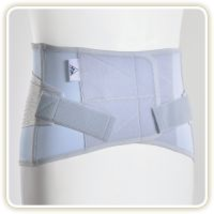 TLM Crossover/26 Corsetto Grigio Taglia XL 1 Pezzo