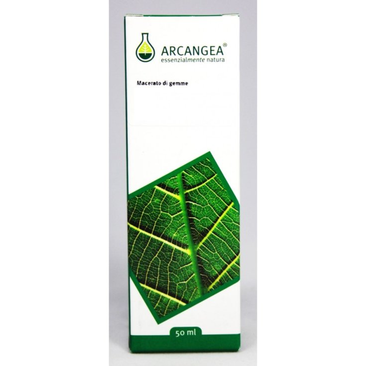 Arcangea Castanea Vesca Gemmoderivati Rimedio Omeopatico 100ml
