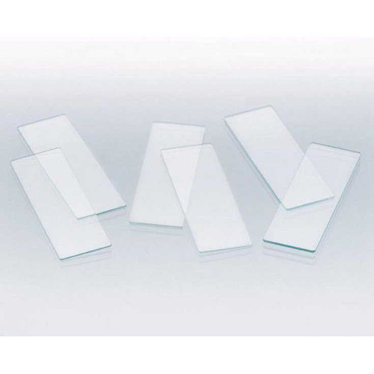 Steroglass Vetrino Copri Oggetto 24x50mm