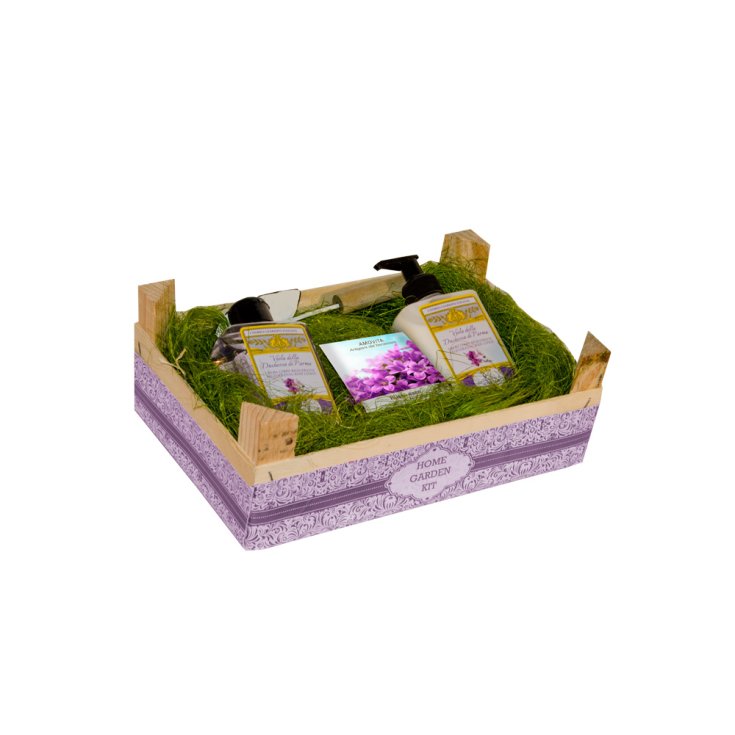 Home Garden Kit Viola della Duchessa di Parma