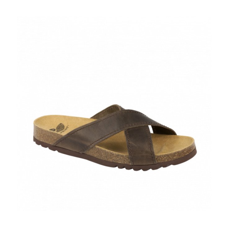 Dr Scholl Tangor Ciabatta Uomo Fasce Incrociate Colore Brown Misura 46
