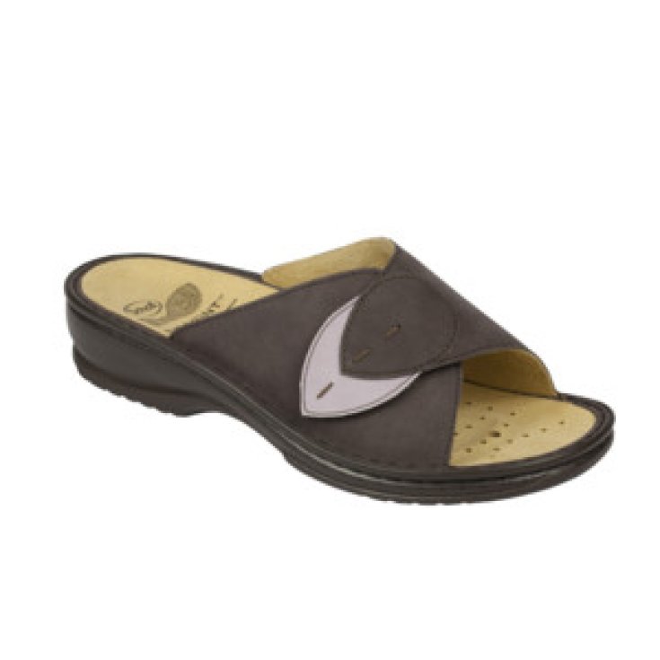 Dr Scholl Dama Removable Ciabatta Donna Colore Plum Misura 38