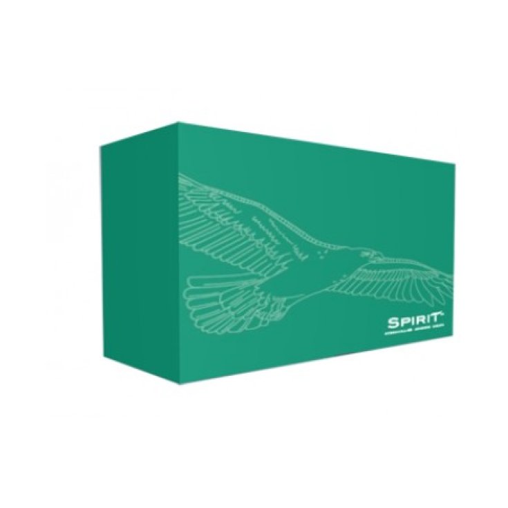 Spirit Catetere Esterno Uomo 36mm Stile2 30 Pezzi
