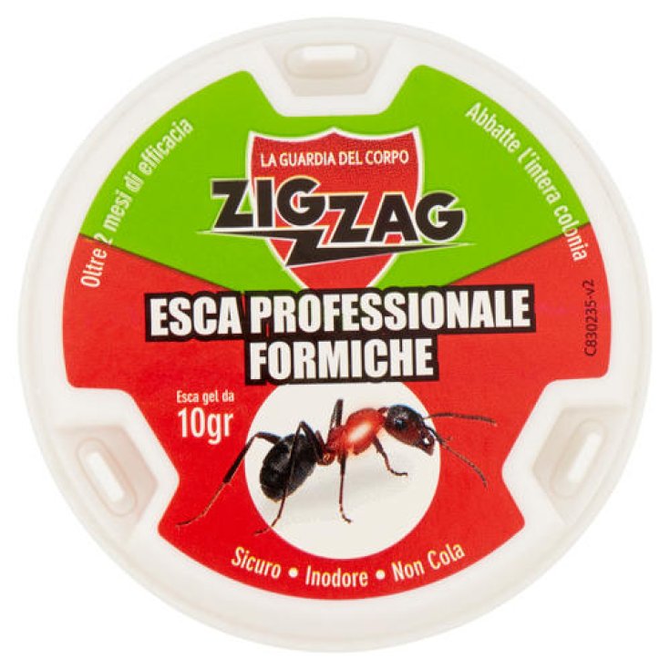 Deisa Ebano Zig Zag Esca Insetticida Antiformiche 10g