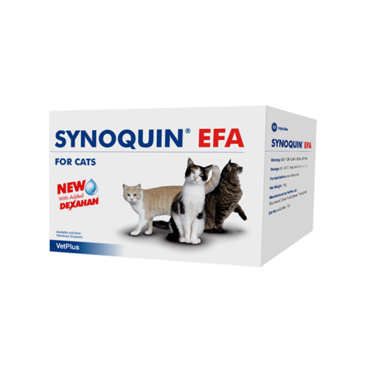 Synoquin EFA Cat - 30CP