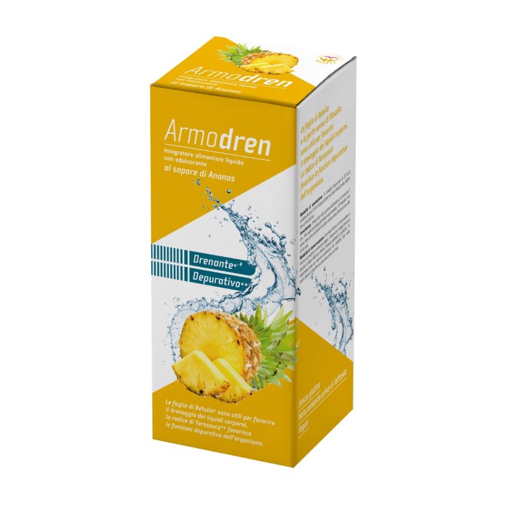 Armodren Gusto Ananas 500ml