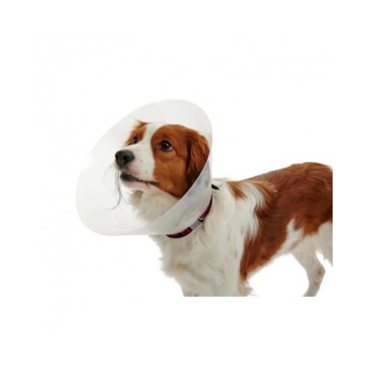 Collare Clic trasparente - 25 cm