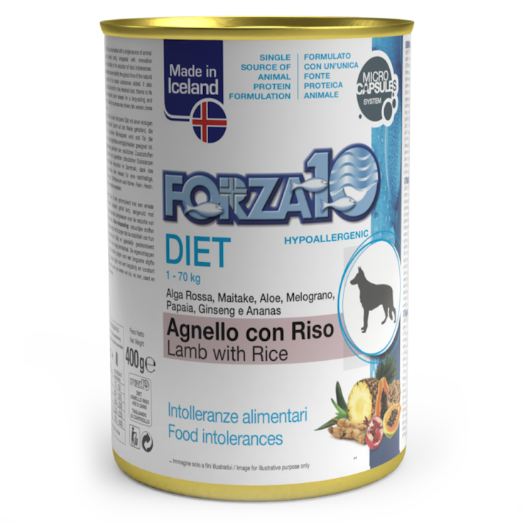 Diet Pat&eacute; Agnello con Riso - 400GR