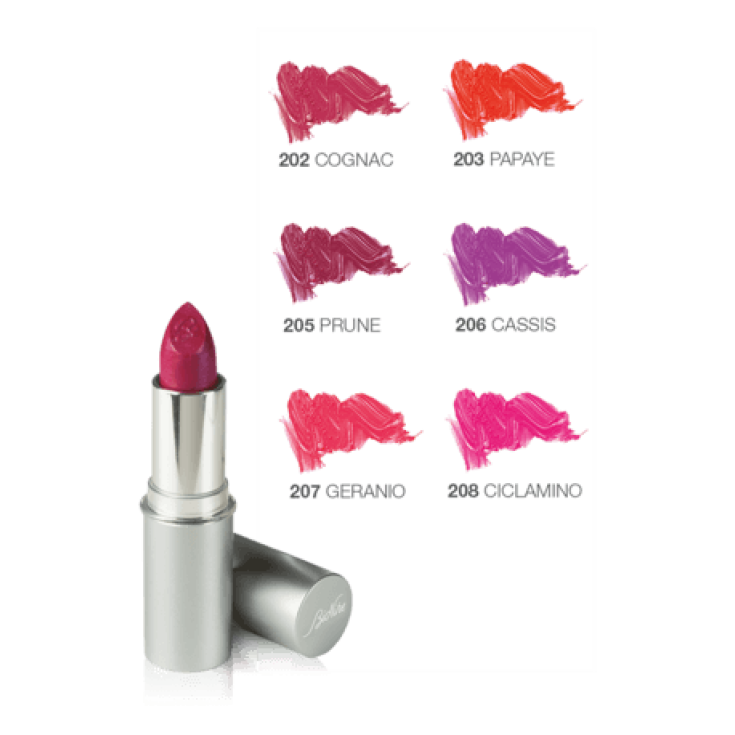 Defence Color Lipshine Rossetto Brillante 205 Prune BioNike 3,5ml