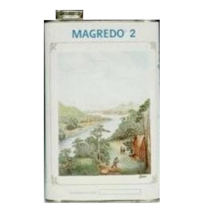 Magredo&reg; 2 Sciroppo D'Acero Vegetal Progress 1320g