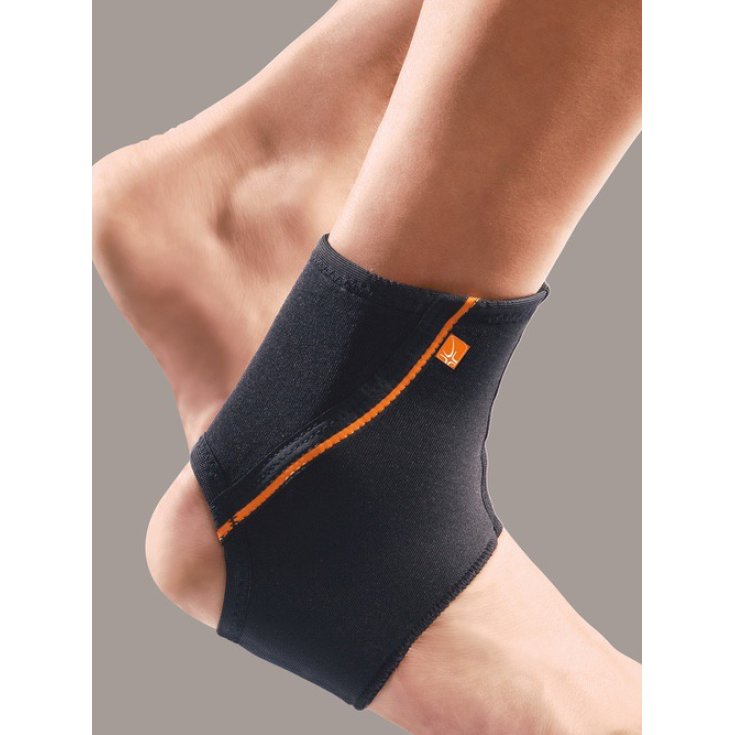 MalleoFIT37 Cavigliera PR4-A1137 Taglia L RO+TEN