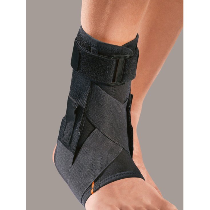 MalleoFIT81 Cavigliera Con Tiranti PR4-A1181 Taglia M RO+TEN