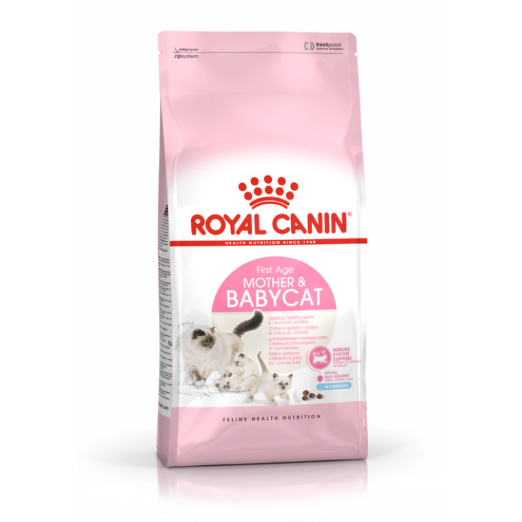 Mother & Babycat - 2KG