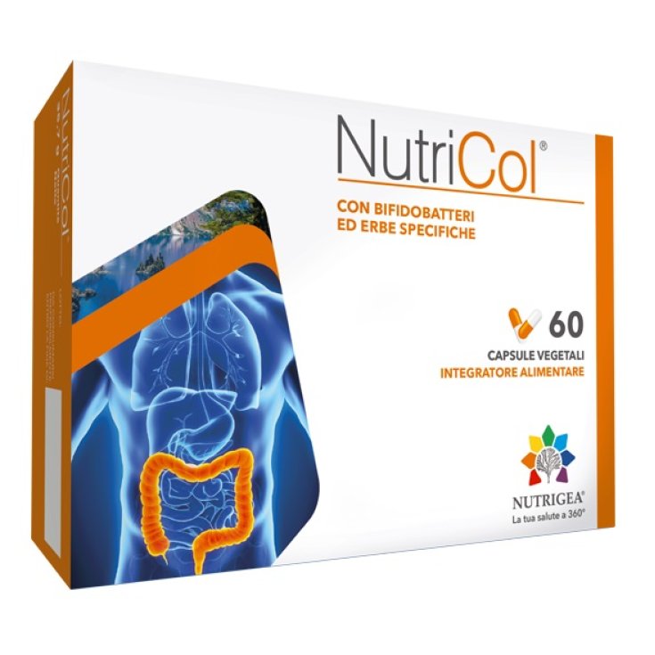 NutriCol&reg; NUTRIGEA&reg; 60 Capsule Vegetali