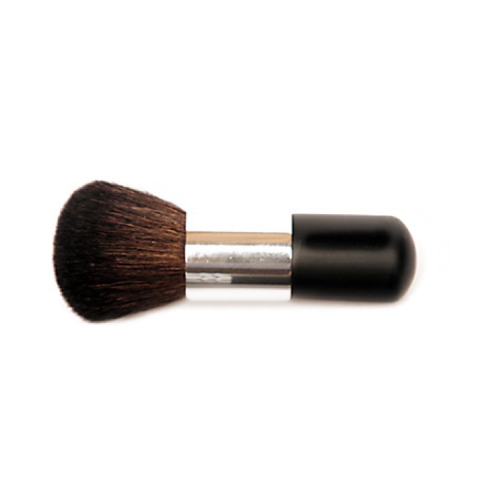 Sensai Brush Puff Golden Finish
