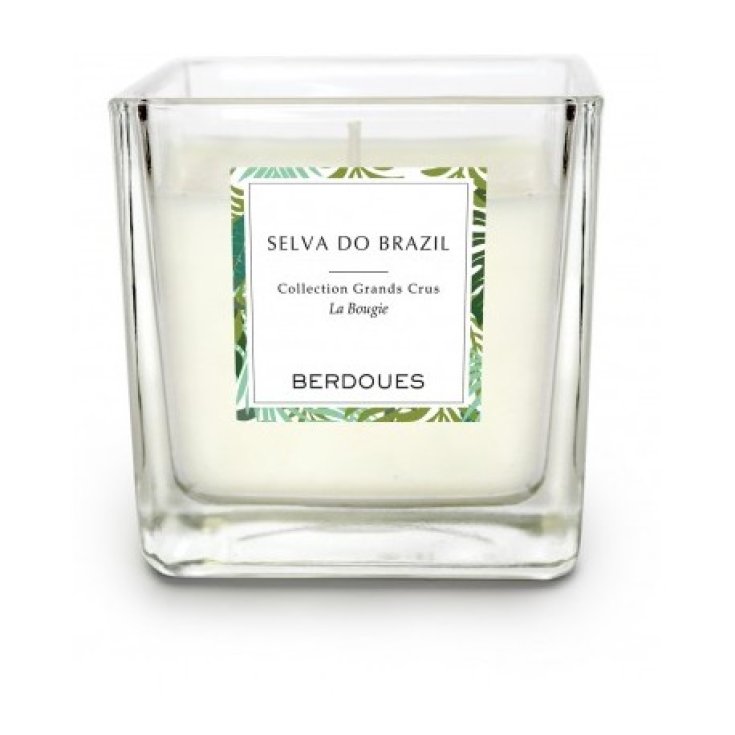 Berdoues Selva Do Brazil Candle