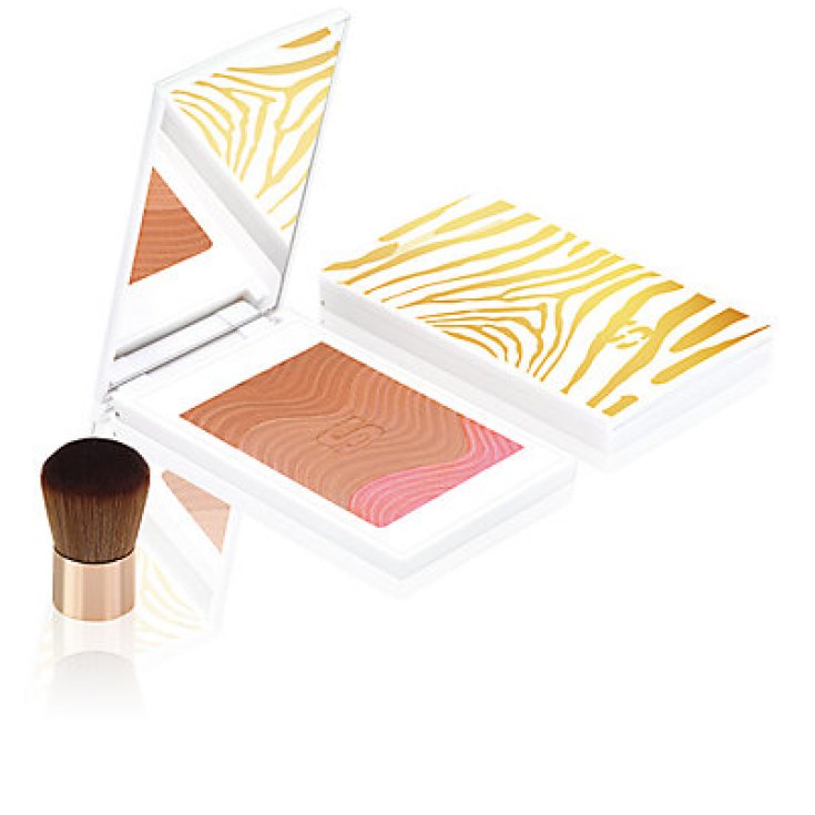 SISLEY P/TOUCHE POUDRE E/SOL 1 11G