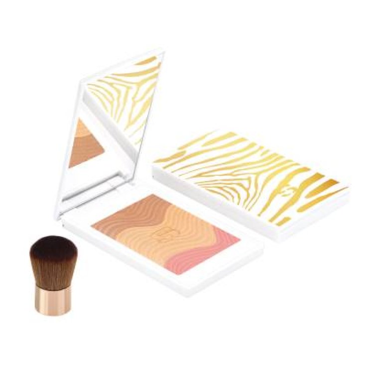 SISLEY P/TOUCHE POUDRE E/SOL 2 11G