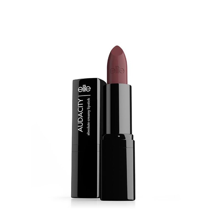 Rossetto Audacity Lipstick - 111 Dark Rose Elite