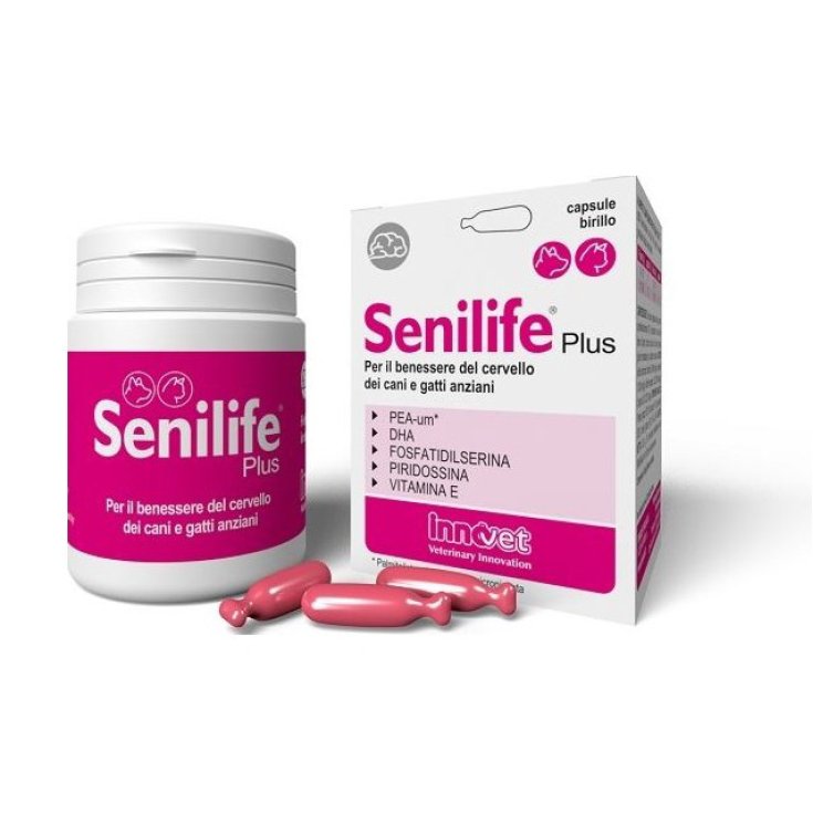 Senilife Plus - Capsule