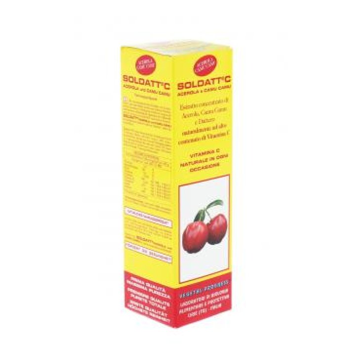 Soldatt&reg; C Acerola E Camu Camu Vegetal Progress 100ml