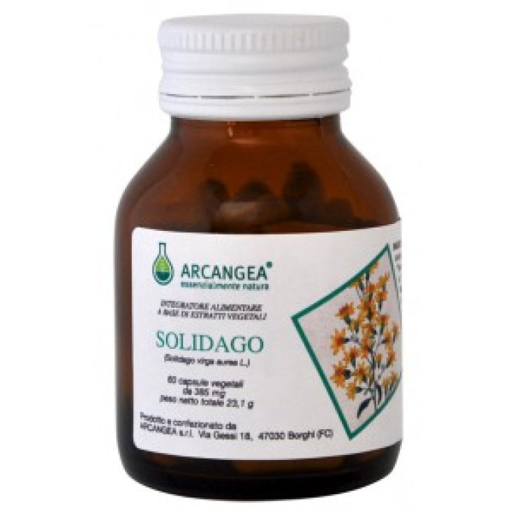 Solidago Bio Arcangea&reg; 60 Capsule 385mg